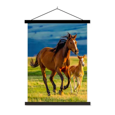 Produktbild von MuchoWow® Textilposter Pferde - Gras - Tiere - Landschaft - Natur 90x120 cm mit schwarzem Rahmen - Dekoration