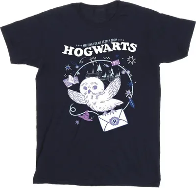 Produktbild von Harry Potter - "Letter From Hogwarts" T-Shirt für Herren BI30741 (4XL) (Marineblau)