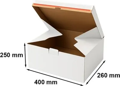 Image de Carton antivol automatique Safebox 400 x 260 x 250 mm C