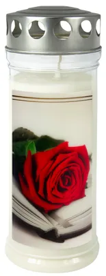 Image de JEKA Bougie commémorative 215x75mm M27 ROSE/LIVRE, 7jours