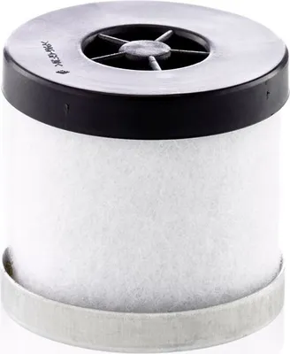 Produktbild von Mann-Filter Luftfilter C 25 101