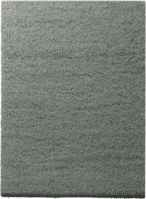 A close-up, top-down view of a gray shaggy rug.