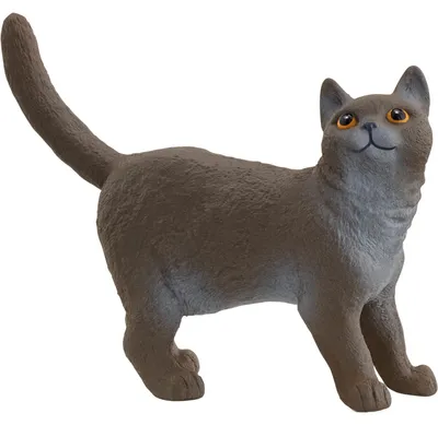 Produktbild von Schleich Farm World Britische Kurzhaar Katze, Spielfigur