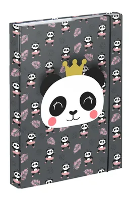 Obrázek produktu pro BAAGL Desky na školní sešity A5 Panda