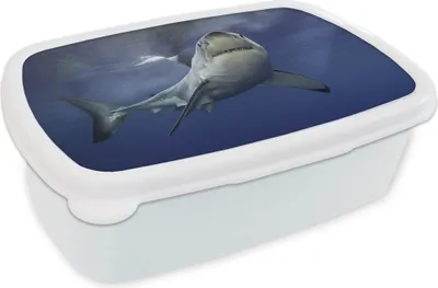 Produktbild von KitchenYeah® Lunchbox Brotzeit Brotdose 17x11 cm Weißer Hai Kinder Brotzeitdose - Lunch Box - Kinder - Sandwich-Box - Schulbox - Lunch Boxen