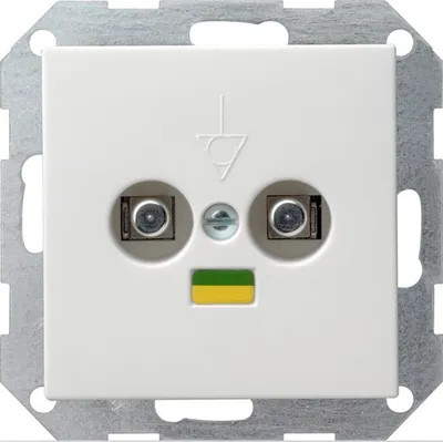 Image de GIRA Potentialausgleich-Dose 040503 2fach System 55 reinweiß (040503)