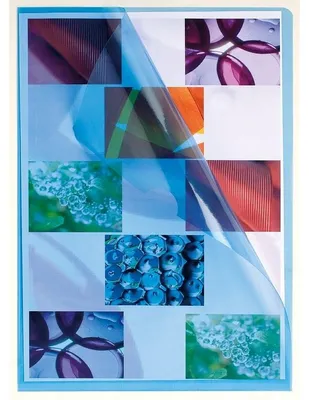 Immagine prodotto di EXACOMPTA Sichthlle, DIN A4, PP 0,12 mm, genarbt