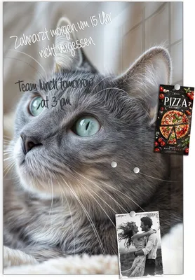 Produktbild von Magnettafel 60x90cm Pinnwand Whiteboard beschreibbar - Kuschelige Katze