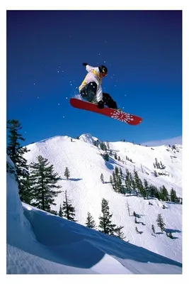 Image de SNOWBOARDERS - NEIGE - 61x91,5cm - Affiche Poster