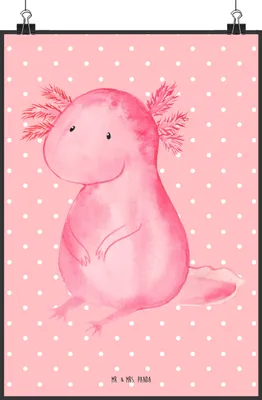 Produktbild von Mr. & Mrs. Panda Bild Axolotl Niedlich DIN A2 - Rot Pastell - Geschenk, drucke, Liebe, wanddeko, Kunstdruck, Freundin, Weisheit, Fröhlich, Wandbild, Lebensweisheit