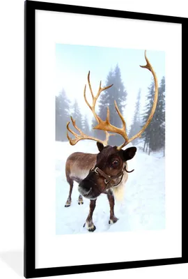 Produktbild von MuchoWow® Gerahmtes Poster Ein Rentier im Schnee 60x90 cm - Poster mit Schwarzem Bilderrahmen Wandposter Rahmen Foto Bilder - Dekoration - Wandposter Wohnzimmer - Hochwertig