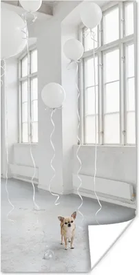 Produktbild von MuchoWow® Poster Hund - Weiß - Luftballon 60x120 cm - Wandschmuck