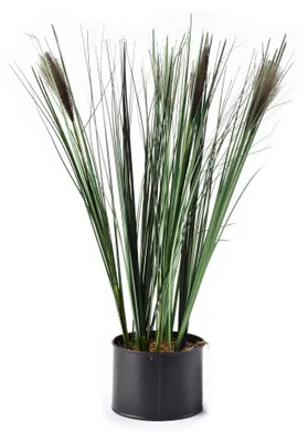 Image de Fleur artificielle GRASS 54 cm verte