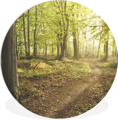 Produktbild von MuchoWow® Rundes Wandbild - Runde Bilder Wald - Weg - Sonnenaufgang Ø 30 cm Kreis Wanddekoration Kunststoff - Wandkreis - Wandschmuck - Schlafzimmer - Bilder - Der Kreis - Kunst für die Wohnung - Plastik - Kunstdruck - Wandbild