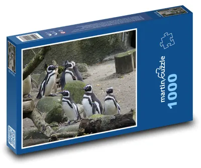 Produktbild von Puzzle 1000 Pinguinkolonie - martinpuzzle