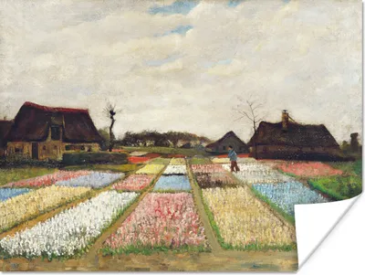 Produktbild von MuchoWow® Poster Zwiebelfelder - Vincent van Gogh 160x120 cm - Foto Plakat
