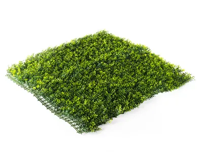 Obrázek produktu pro Umělý živý plot Hawaj Buxus High žlutý Stěna 100 x 100 cm