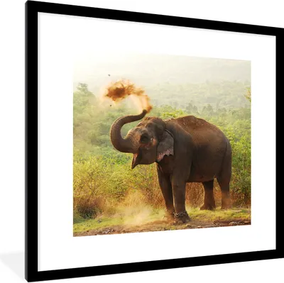 Produktbild von MuchoWow® Gerahmtes Poster Reinigungselefant 40x40 cm - Poster mit Schwarzem Bilderrahmen Wandposter Rahmen Foto Bilder - Poster - Plakat im Rahmen