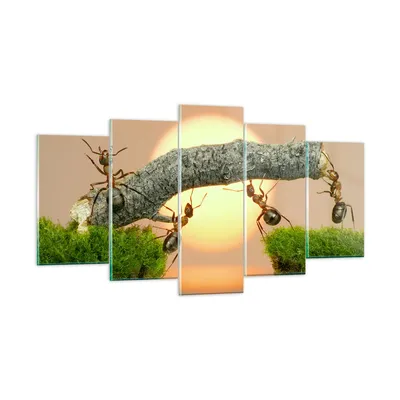 Produktbild von Bilder auf glas - Tiere Ameisen Brücke Natur - 160x85cm - Glasbilder - Wandbilder - Kunstdruck - zum Aufhängen bereit - Wanddekoration aus Glas - Glas Bilder - Wandbild auf Glas - GEA160x85-2104