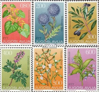 Produktbild von Briefmarken Jugoslawien 1973 Mi 1510-1515 (kompl.Ausg.) postfrisch Heilpflanzen