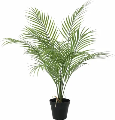 Produktbild von Kentia Palme Kunstpflanze 65cm Kunstpalme Zimmerpflanze Pflegefreie Deko Pflanze