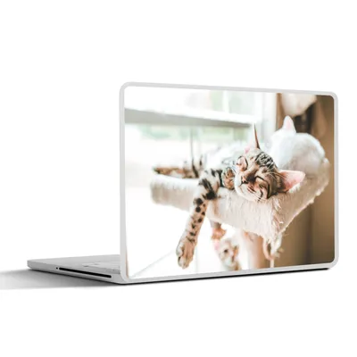 Produktbild von MuchoWow® Laptop Aufkleber Sticker Cover Schlafende Katzen auf einem Kratzbaum 30x21 cm - Sticker für Laptop - Selbstklebend