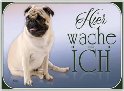 Produktbild von vianmo Holzschild 30x40 cm Hund Mops hier wache ich