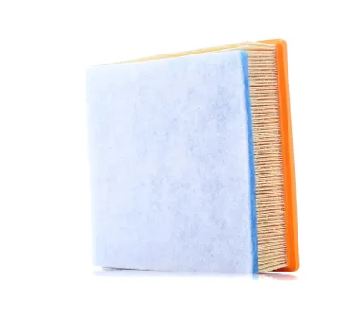 Immagine prodotto di Filtro aria KNECHT LX 4038