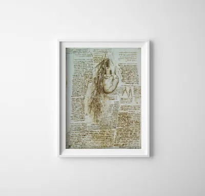 Produktbild von Poster - Canvas - Leinwand - 42 cm x 59,4 cm - Anatomie Da Vinci