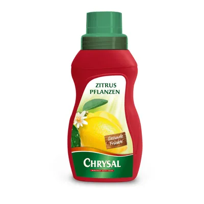 Produktbild von Chrysal Flüssigdünger für Zitruspflanzen 250 ml