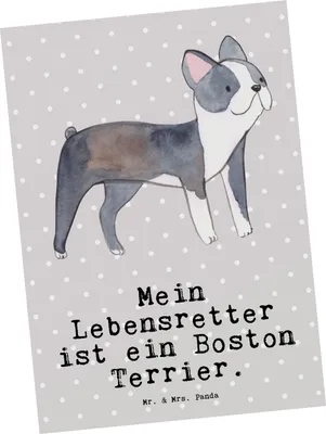 Produktbild von Mr. & Mrs. Panda Postkarte Boston Terrier Lebensretter - Grau Pastell - Geschenk, Postkarten, bildkarte, Grußkarte, Ansichtskarten, einzelkarte