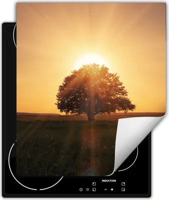 Produktbild von DarHaus Herdabdeckplatte 45x52 cm Anti Rutsch Matte Aufrollbar, Baum - Sonne