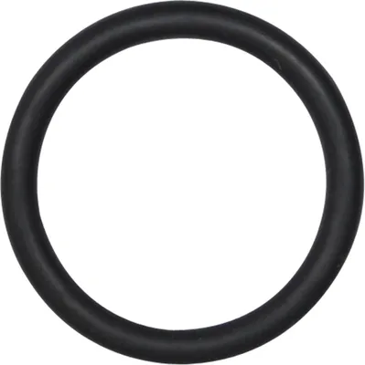 Produktbild von SW-Stahl Sicherungsring
