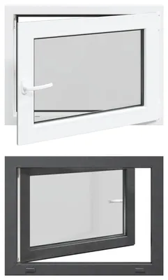 Immagine prodotto di vidaXL Finestra da cantina RISOR 60 x 100 cm in PVC e vetro, antracite