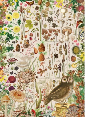 Produktbild von Gibsons RHS Fall Flora, 1000 Stück(e)