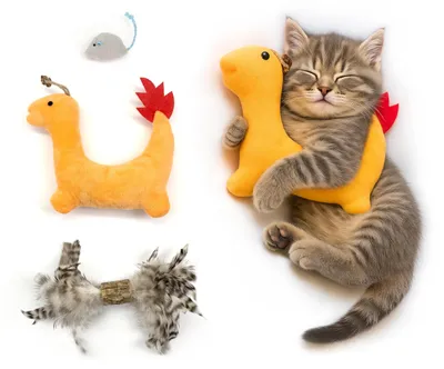 Produktbild von 3er-Set Katzenspielzeug mit Silberkraut und Katzenminze