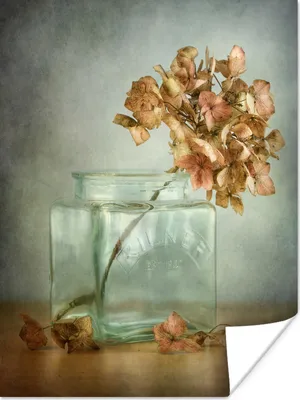 Produktbild von MuchoWow® Poster Blumen - Trockenblumen - Hortensie 90x120 cm - Wohnzimmer