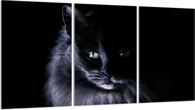 Produktbild von Herdabdeckplatten 3 teilig 30x52 Glaskeramikkochfeld Abdeckung Glas, Katze Schwarz