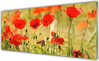 Imagen del producto de Panel protector para cocina de vidrio, 125x50 cm, con diseño de amapolas, estilo natural