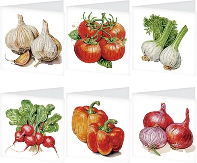 Productafbeelding van Diamantverfijnsels, set van 6 kaarten, met groentemotieven, inclusief enveloppen, voor creatieve groeten