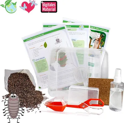 Produktbild von TimeTEX Beobachtungs-Set "Asseln", 9-tlg.