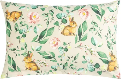 Obrázok produktu pre Bavlnenný vankúš - 40x60 cm - béžový