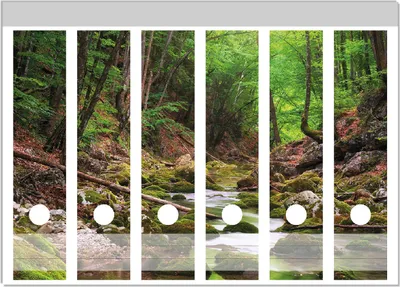 Produktbild von Wallario Ordnerrücken Sticker, selbstklebend für breite Ordner, 6 Stück, Motiv Fluss im Wald