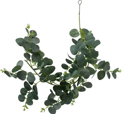 Produktbild von Boltze Gruppe Pflanzengirlande Eukalyptus grün 75cm