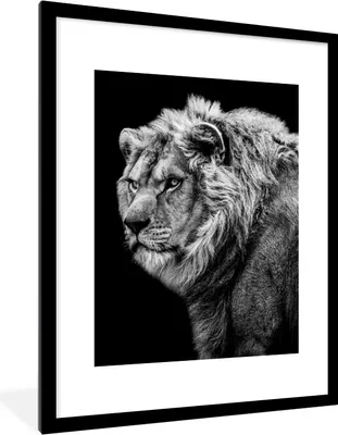 Produktbild von MuchoWow® Gerahmtes Poster Löwe - Porträt - Wildtiere - Schwarz - Weiß 60x80 cm - Poster mit Schwarzem Bilderrahmen Wandposter Rahmen Foto Bilder - Wohnzimmer - Dekorationen - Prämie