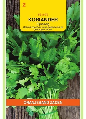 Imagen del producto de Oranjeband: Semillas de cilantro, hierbas aromáticas - 1 paquete de semillas