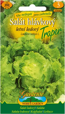 Image de Laitue iceberg d'été TRAPIER