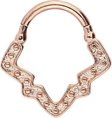 Produktbild von Ohrpiercing, Nasenpiercing, Septum Piercing Chirurgenstahl Clicker DESIGN
