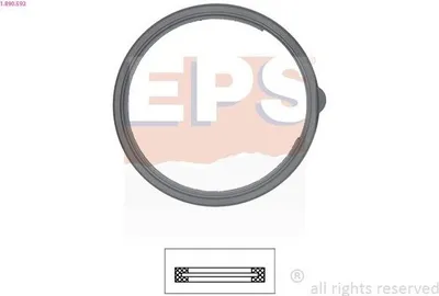 Produktbild von EPS Dichtung Thermostat 1.890.592