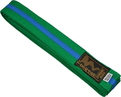 Produktbild von TEKKA BUDO Kampfsport Gürtel mit Mittelstreifen grün-blau 220 cm 2-farbig - Budogürtel, Karate, Judo, Taekwondo, Ju-Jutsu